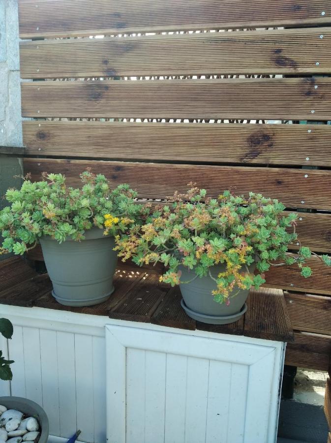 Green Garden كافالا المظهر الخارجي الصورة